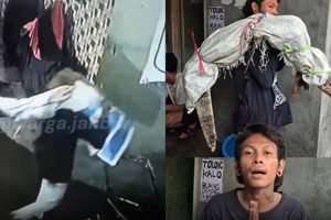 Viral Dikira Gendong Karung Berisi Mayat, Ternyata Isinya Biawak