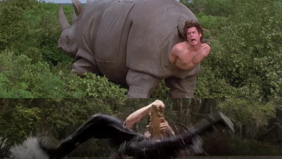 Badak Ace Ventura "Lahir Dari Pantat" Dilelang, Tawaran Tertinggi Saat Ini $12,000