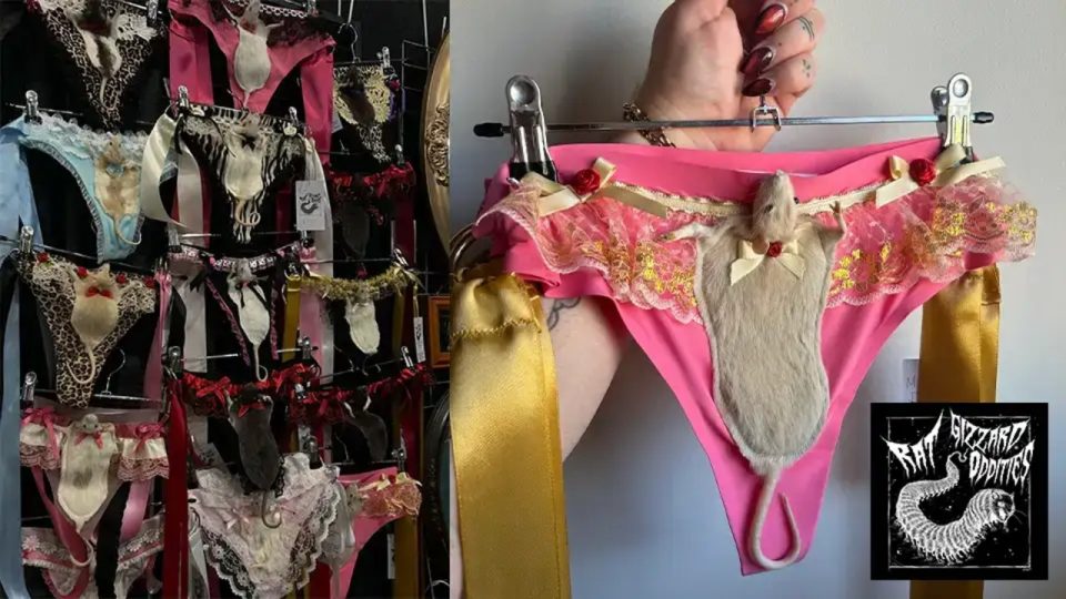 Celana Dalam Wanita Rat Gizzard Oddities Ini Dari Tikus Asli