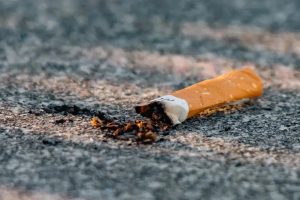 Pria Indonesia Jadi Orang Pertama Yang Dipenjara di Malaysia Karena Buang Puntung Rokok Sembarangan