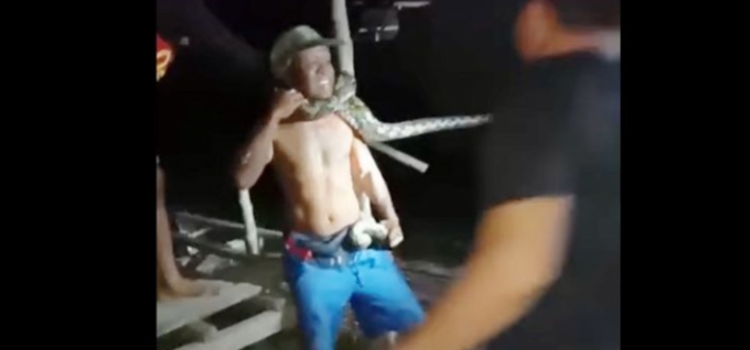 Percaya Diri Tangkap Ular Piton, Seorang Pria di Sulsel Terlilit Lehernya Hingga Nyaris Tewas