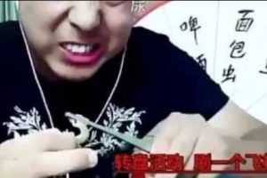 Vlogger Asal China Tewas Saat Live-streaming Karena Memakan Kelabang Beracun & Tokek Hidup-hidup
