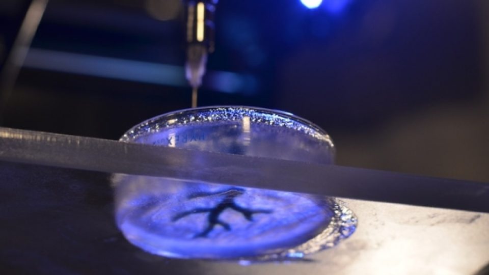 Transplantasi Jantung Kini Bisa Lewat Cetak Jantung 3D 