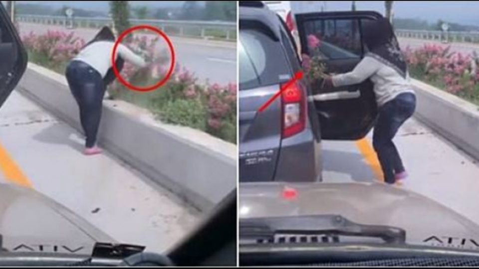 Identitas Pemilik Mobil Dari Emak-emak yang Mengambil Tanaman di Exit Tol Singosari Malang Terungkap