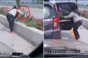Identitas Pemilik Mobil Dari Emak-emak yang Mengambil Tanaman di Exit Tol Singosari Malang Terungkap