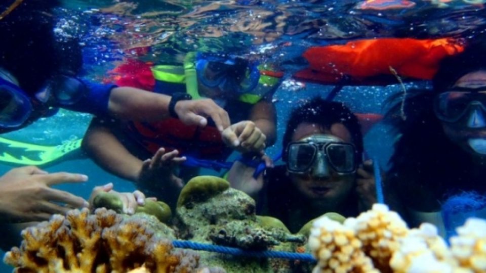 4 Spot Snorkeling Seru di Kepulauan Seribu