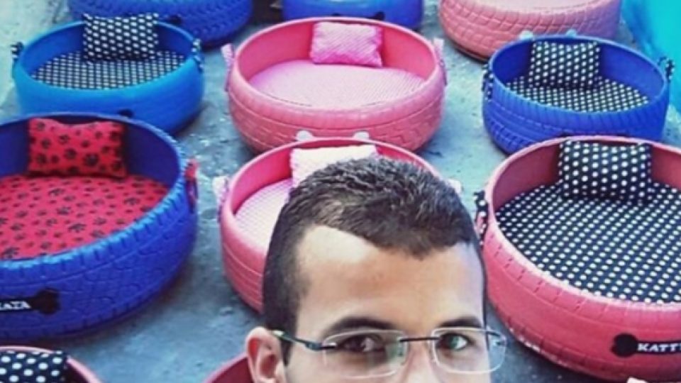 Seniman Brazil Ini Ciptakan Tempat Tidur Hewan Dari Ban Bekas