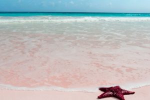 Menikmati Indahnya Liburan di Pasir Berwana Merah Muda