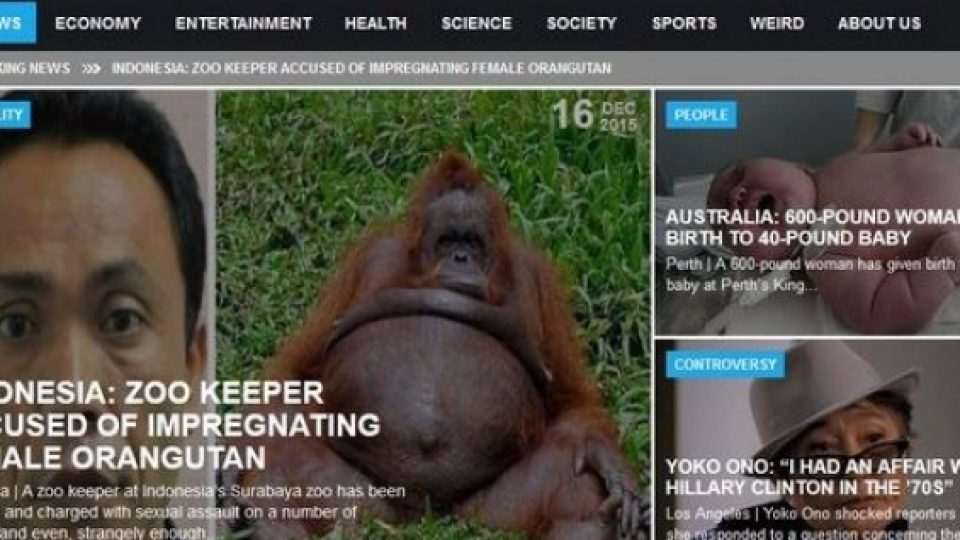 Media Asing Tuduh Penjaga Kebun Binatang Surabaya Hamili Orangutan