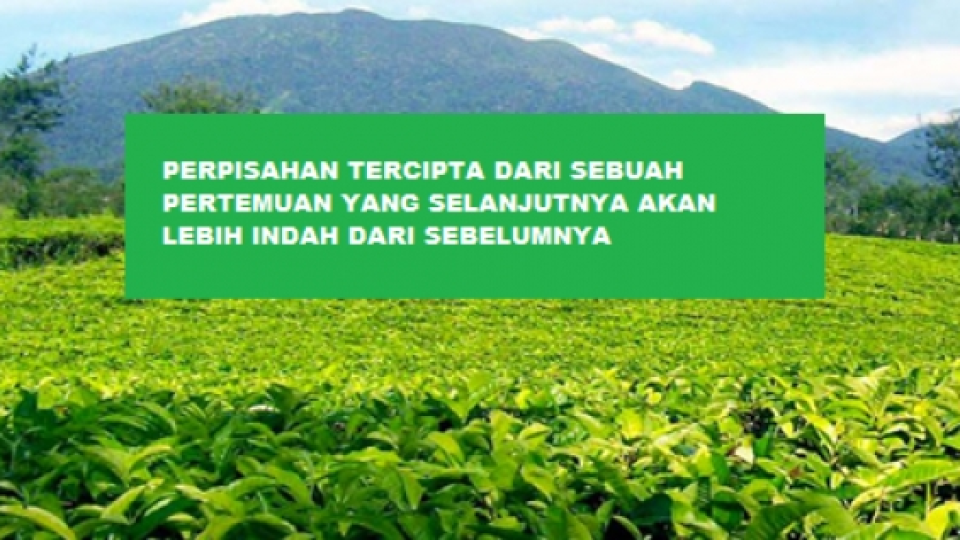 Arti perpisahan bagi-ku untuk pertemuan yang berharga dengan-mu