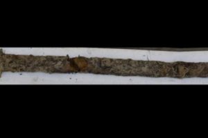 Seorang Gadis 8 Tahun Dijuluki Ratu Swedia yang Baru karena Menemukan Pedang Kuno di Sebuah Danau