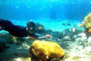 Sensasi Snorkling di Air Tawar Umbul Ponggok Klaten