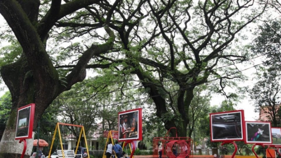 5 Taman Unik di Bandung, Jomblo Wajib Masuk! 