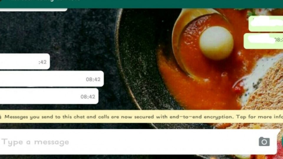 WhatsApp Terapkan Fitur Anti Hacker dengan Enkripsi 'End-to-End'