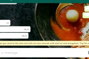 WhatsApp Terapkan Fitur Anti Hacker dengan Enkripsi 'End-to-End'