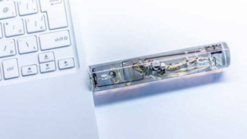 Orang Jepang Ciptakan USB Drive dengan Ikan Sebagai Salah Satu Bahannya