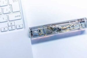 Orang Jepang Ciptakan USB Drive dengan Ikan Sebagai Salah Satu Bahannya