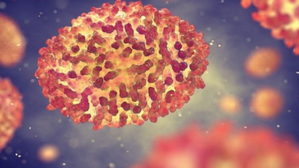 Terjadi Ledakan di Laboratorium Vector di Rusia yang Menyimpan Virus Cacar, Ebola dan HIV