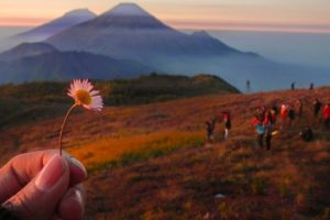 4 Alasan Wajib Hiking Ke Gunung Prau