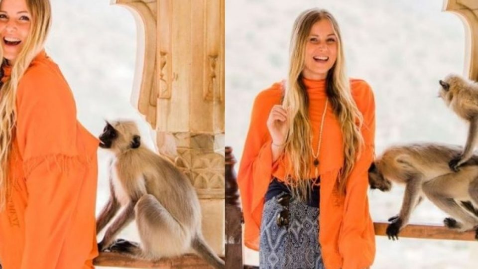 Gara-gara 'Monyet Kawin', Foto Model Ini Jadi Viral di Dunia Maya