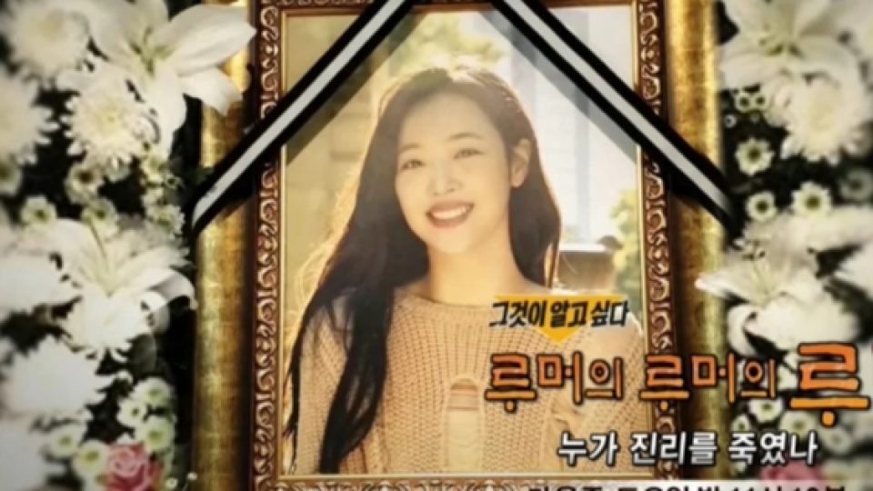 Para Haters Ungkapkan Alasan Mereka Menuliskan Komentar-komentar Jahat Terhadap Sulli