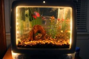 Wow! Komputer Lawas Apple Disulap Menjadi Akuarium Cantik