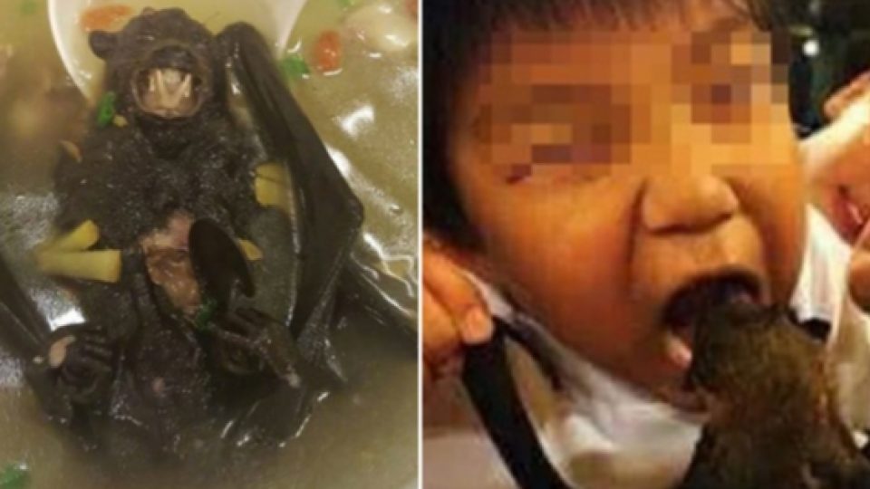 BREAKING: Wabah Virus Corona Misterius di Wuhan, China, Diduga Kuat Berasal Dari Sup Kelelawar yang Populer di Sana