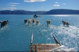 Fenomena 'Berjalan di Permukaan Laut' Ini Sebenarnya Adalah Hasil Genangan Es di Greenland yang Meleleh Terlalu Dini