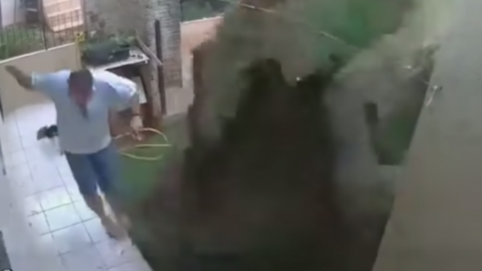 [Video] Niatnya Basmi Kecoak, Pria Ini Malah Menghancurkan Pekarangan Rumah Dengan Meledakkannya