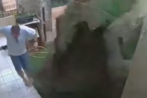 [Video] Niatnya Basmi Kecoak, Pria Ini Malah Menghancurkan Pekarangan Rumah Dengan Meledakkannya