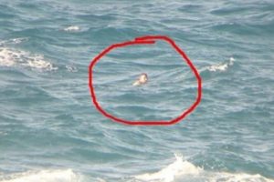 Visa dan Uang Habis, Pria Ini Nekat Berenang ke Australia Sebelum Kemudian Terdampar di NTT