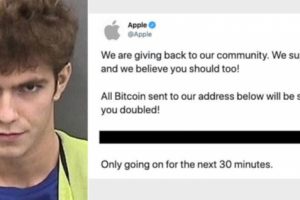 Pemuda Peretas Twitter Bill Gates Dihukum Tiga Tahun Penjara