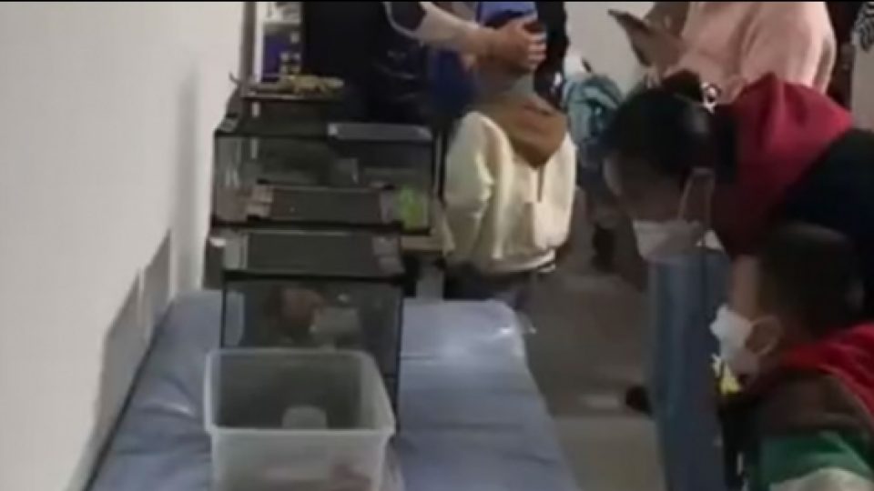 Orang Tua Di Ningxia China Terkena Penipuan Oceanarium Ternyata Akuarium Rumahan
