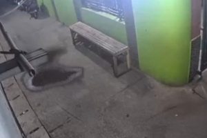 Kasus Begal Payudara di Jakarta Utara, Pelaku Dibebaskan Karena Korban Enggan Melapor