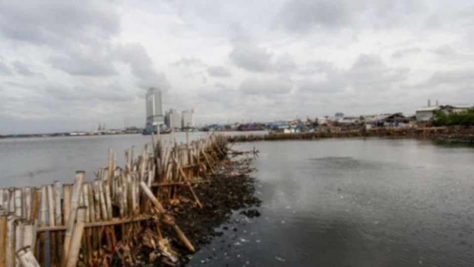 Netizen Ramai Bahas Tingginya Kandungan Paracetamol di Air Teluk Jakarta, Pemprov DKI Beri Tanggapan