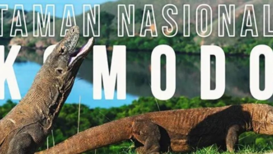 Menparekraf Putuskan Bahwa Kenaikan Harga Tiket Pulau Komodo Menjadi Rp3,75 Juta Dibatalkan