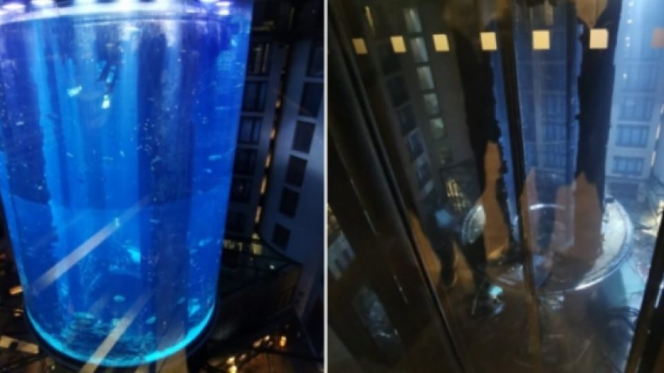 Akuarium Raksasa di Sebuah Hotel di Berlin Meledak, Ribuan Ikan Eksotis Mati Karenanya