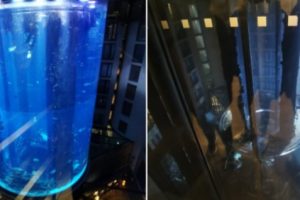 Akuarium Raksasa di Sebuah Hotel di Berlin Meledak, Ribuan Ikan Eksotis Mati Karenanya