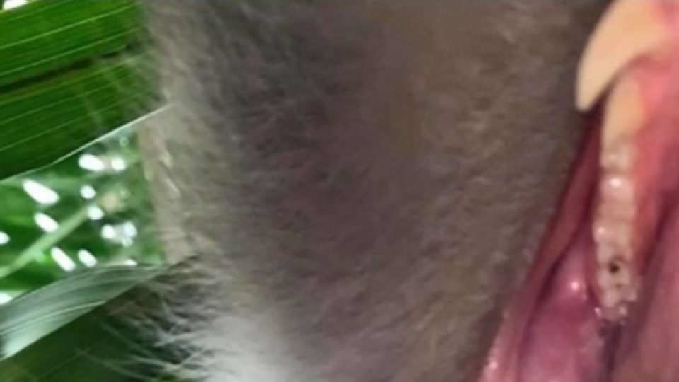 Pria Malaysia Temukan Kembali Ponselnya yang Hilang, Namun Ia Terkejut Melihat Isi Galeri Foto di Ponsel Itu