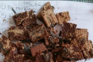 Jember Dihebohkan Wafer Berisi Staples dan Potongan Silet yang Dibagikan Kepada Anak-anak