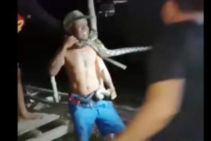Percaya Diri Tangkap Ular Piton, Seorang Pria di Sulsel Terlilit Lehernya Hingga Nyaris Tewas
