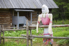 Pria Ini Tewas Disamping Orang Orangan Sawah