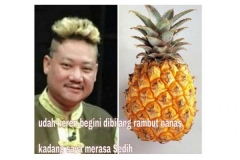 Rambut Nanas Ki Kusumo Jadi Populer di Twitter